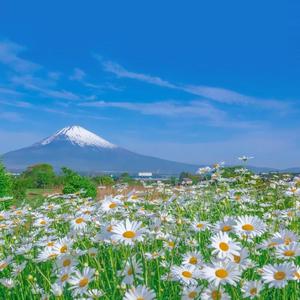 美女100%露出大胸奶头
